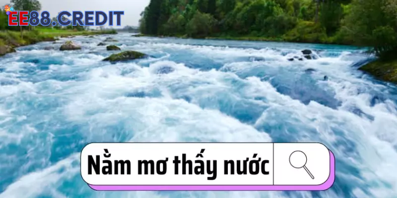 Mơ thấy nước đánh con gì?