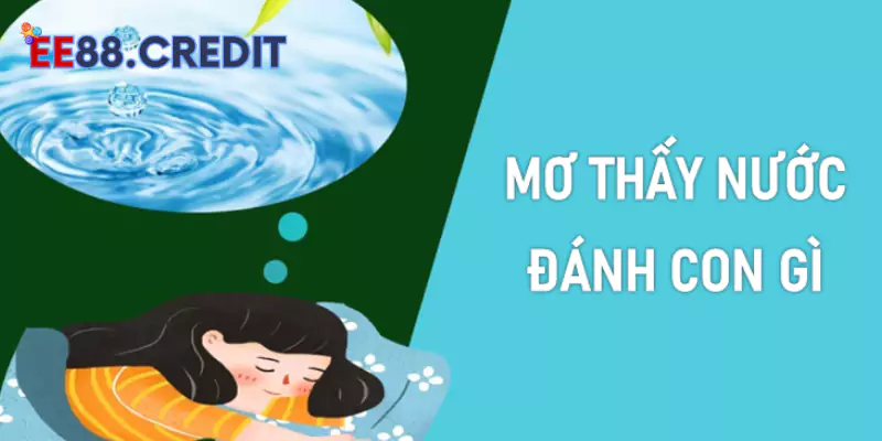 Nằm mơ thấy nước đánh con gì